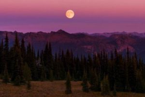 Lee más sobre el artículo Ritual a la luna llena para atraer prosperidad, suerte y amor