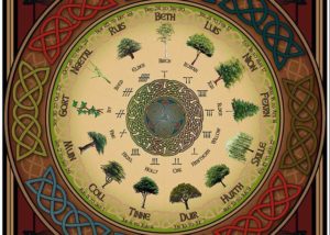 Lee más sobre el artículo Horóscopo Celta ¿Que árbol eres?
