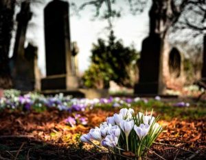 Lee más sobre el artículo Soñar con un cementerio